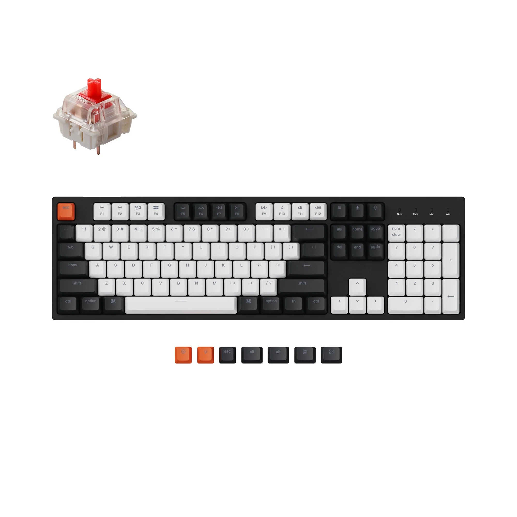 Keychron C2 Wired Mechanical Keyboard (US ANSI Layout) - Image 4