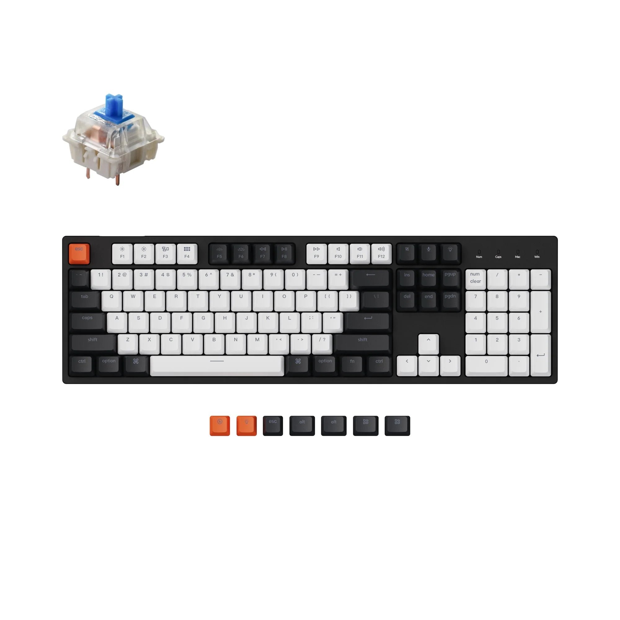 Keychron C2 Wired Mechanical Keyboard (US ANSI Layout) - Image 5