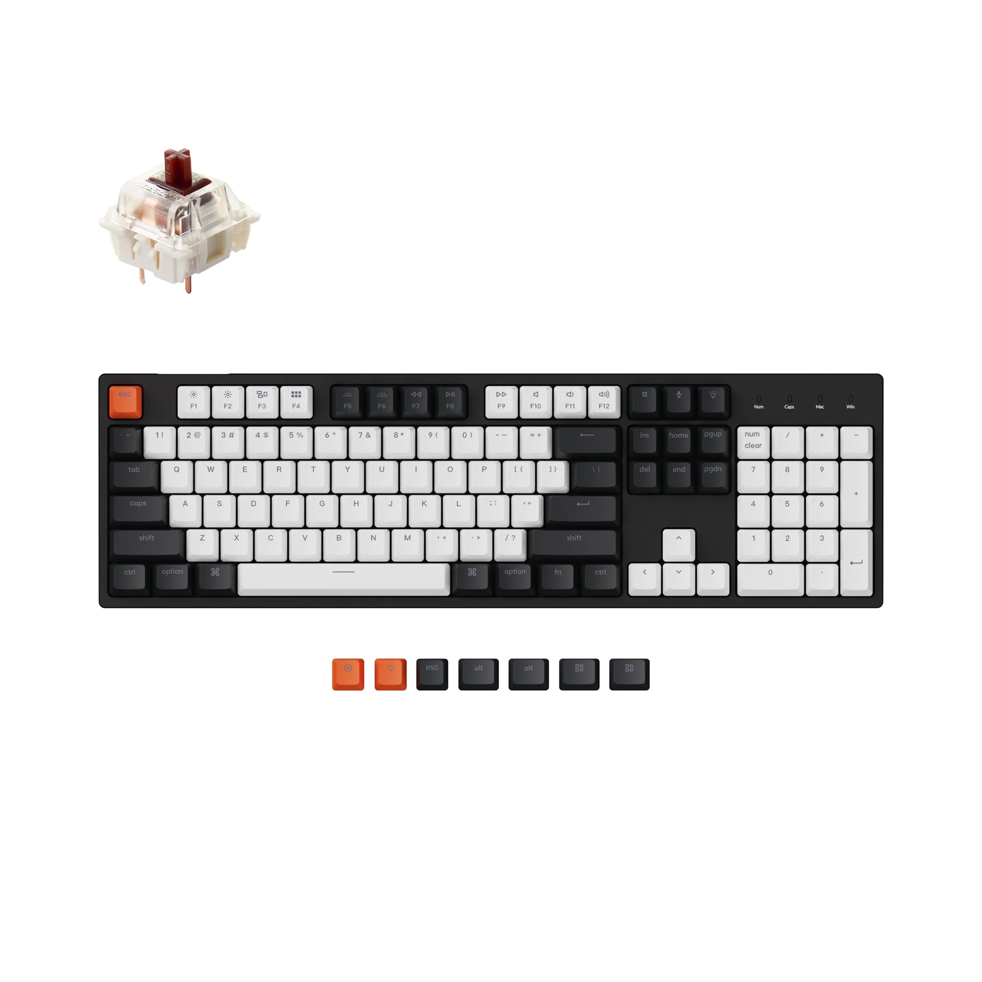 Keychron C2 Wired Mechanical Keyboard (US ANSI Layout) - Image 6
