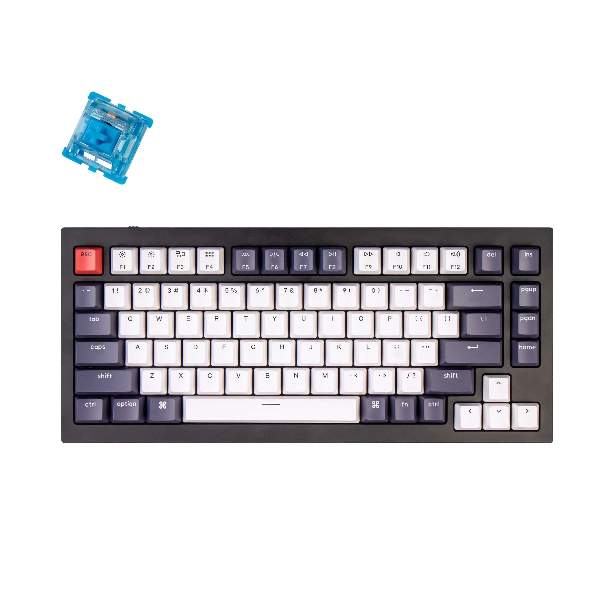 Keychron Q1 QMK Custom Mechanical Keyboard - Version 1 - Image 21