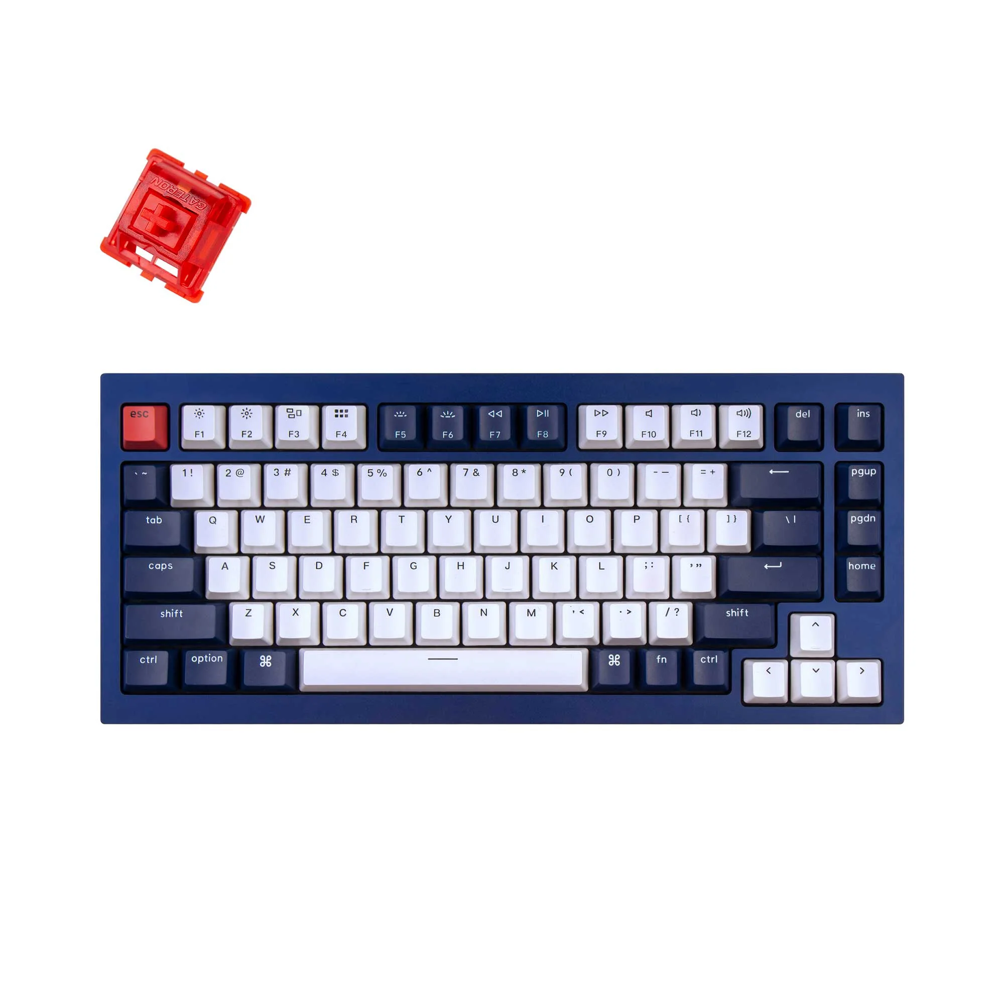 Keychron Q1 QMK Custom Mechanical Keyboard - Version 1 - Image 24
