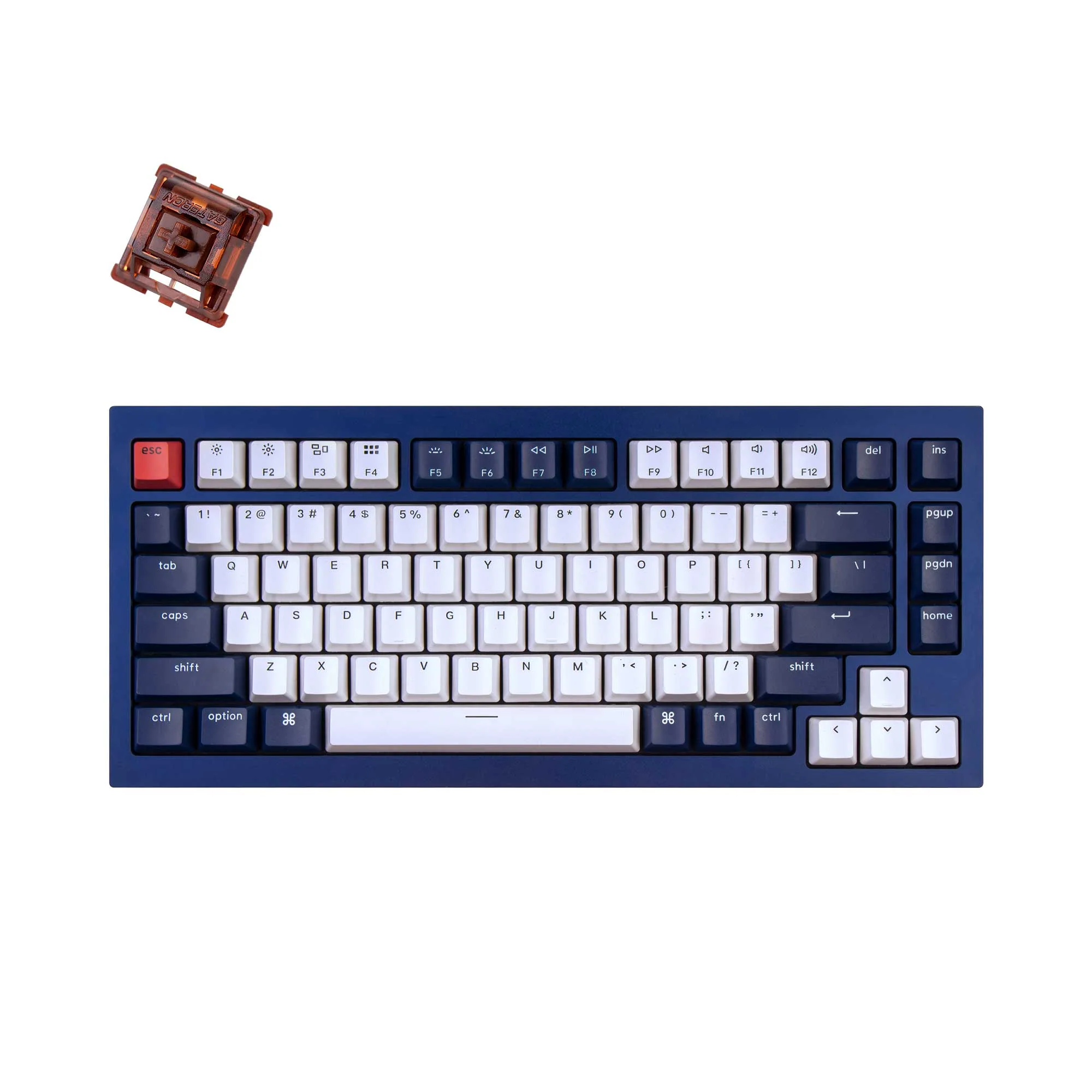Keychron Q1 QMK Custom Mechanical Keyboard - Version 1 - Image 25